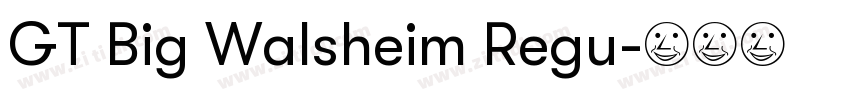 GT Big Walsheim Regu字体转换